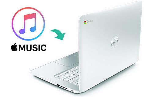 how to play music on chromebook and why it's crucial to have a backup plan for your digital life